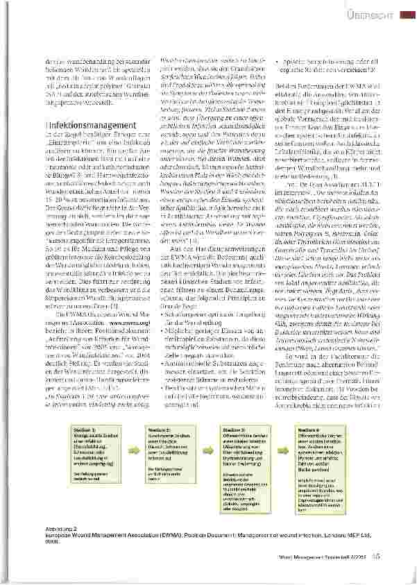 Vorschauseite 2: Wundverbände mit Sodium Acrylate Polymer (SAP)-Granulat - Eine Variante Wunden professionell zu managen