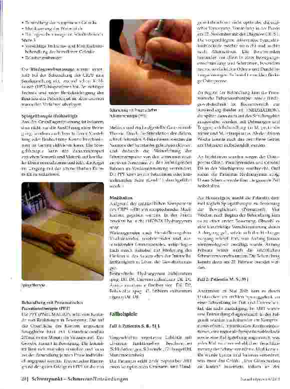 Vorschauseite 3: Der komplexe regionale Schmerzsyndrom CRPS (Morbus Sudeck)