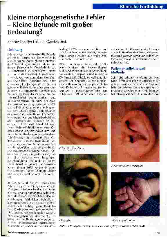 Vorschauseite 1: Kleine morphogenetische Fehler - Kleine Befunde mit großer Bedeutung?