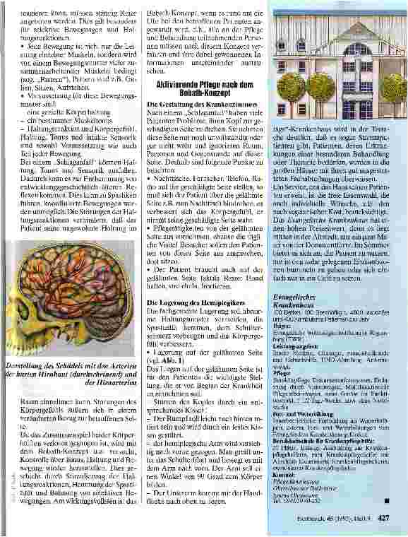 Vorschauseite 6: Pflege in Bayern gemeinsame Imageund Informationskampagne