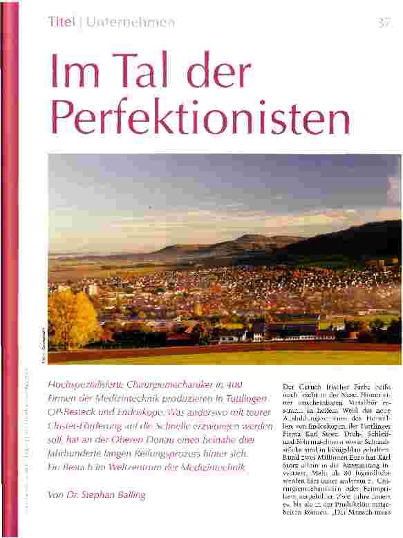 Vorschauseite 1: Im Tal der Perfektionisten