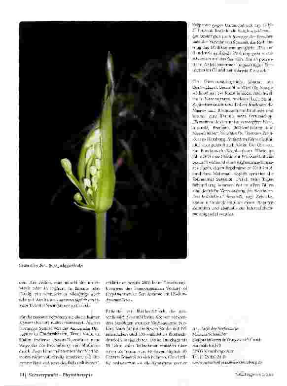 Vorschauseite 2: Mit Sesam reich werden