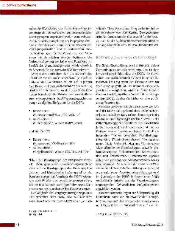 Vorschauseite 3: Die Qualifikationsmöglichkeiten im modernen Wundmanagement in der Gegenüberstellung