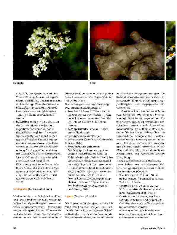 Vorschauseite 3: Appetitanregendes aus der Natur