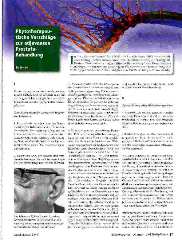 Vorschauseite 1: Phytotherapeutische Vorschläge zur adjuvanten Prostata-Behandlung