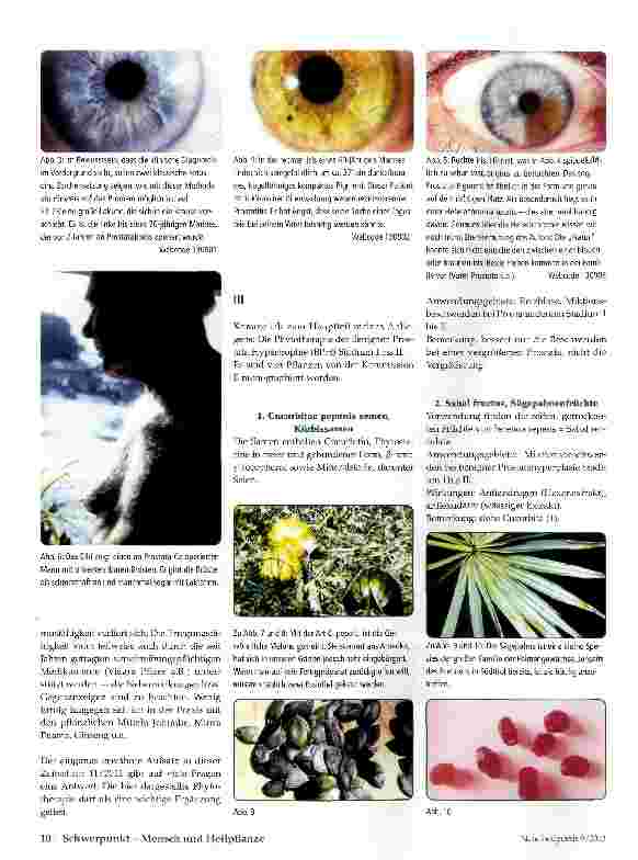Vorschauseite 3: Phytotherapeutische Vorschläge zur adjuvanten Prostata-Behandlung