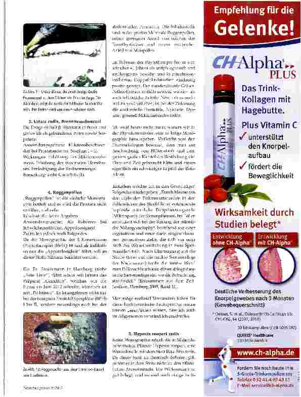 Vorschauseite 4: Phytotherapeutische Vorschläge zur adjuvanten Prostata-Behandlung