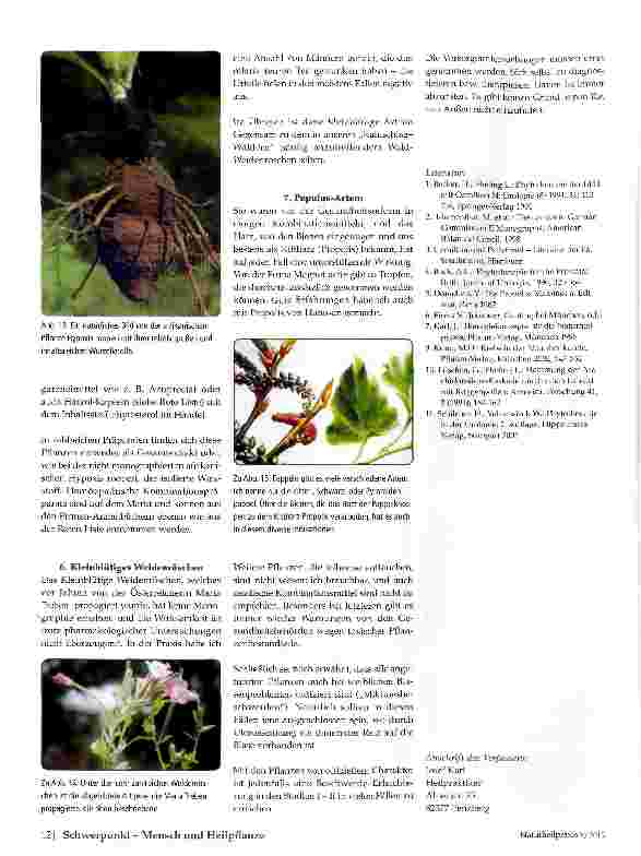 Vorschauseite 5: Phytotherapeutische Vorschläge zur adjuvanten Prostata-Behandlung