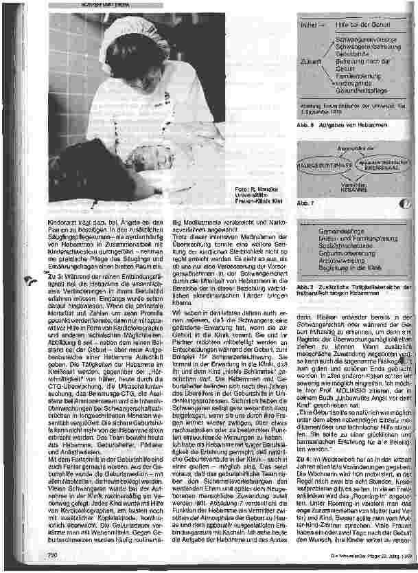 Vorschauseite 3: Die Hebamme in der Bundesrepublik Deutschland - ihre Situation heute und Perspektiven für die Zukunft