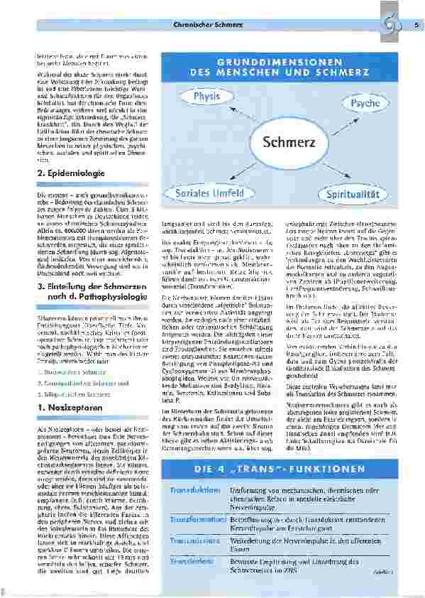 Vorschauseite 2: Chronisscher Schmerz