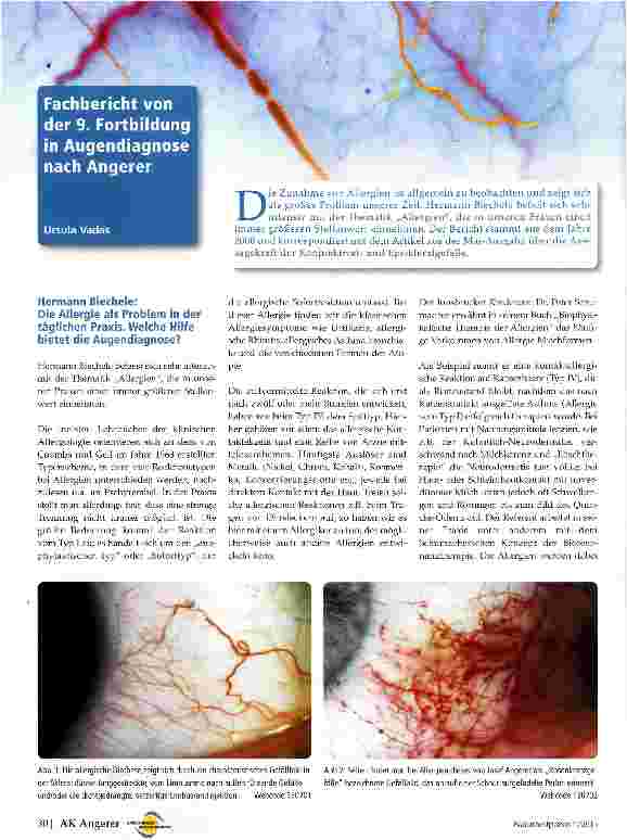 Vorschauseite 1: Fachbericht von der 9. Fortbildung in Augendiagnose nach Angerer