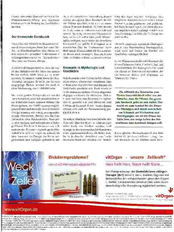 Vorschauseite 2: Rosmarin