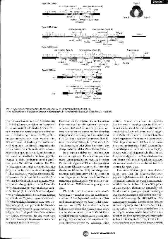 Vorschauseite 3: Neue Erkenntnisse zur Herkunft und Verbreitung der Methicillinresistenz bei Staphylococcus aureus
