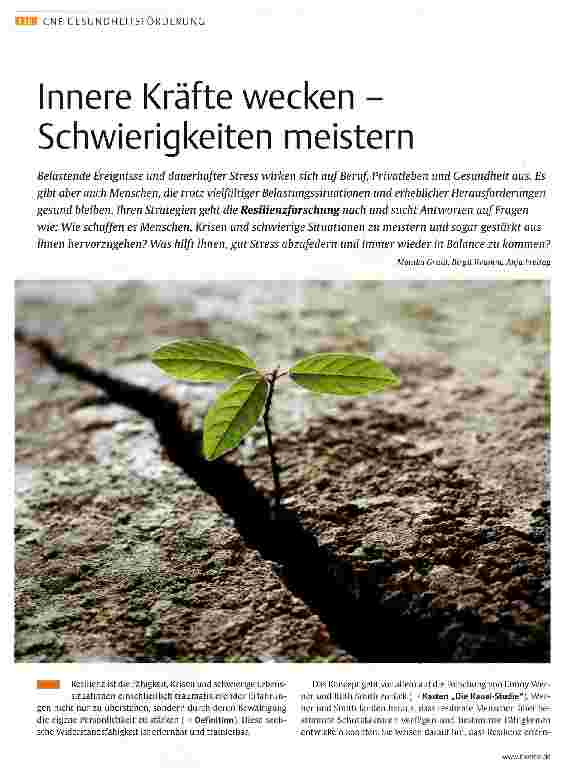Vorschauseite 1: Innere Kräfte wecken -Schwierigkeiten meistern
