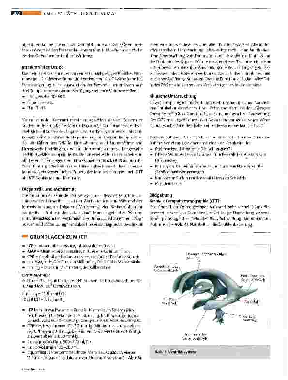 Vorschauseite 4: Klinik und Therapie des Schädel-Hirn-Traumas
