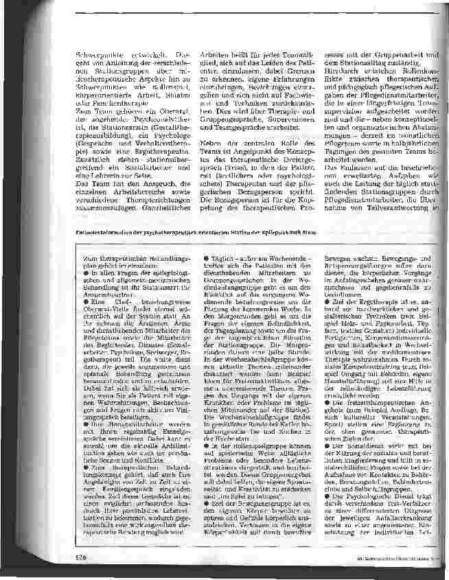 Vorschauseite 2: Die Rolle des Pflegedienstes auf einer psychotherapeutisch arbeitenden Epilepsiestation