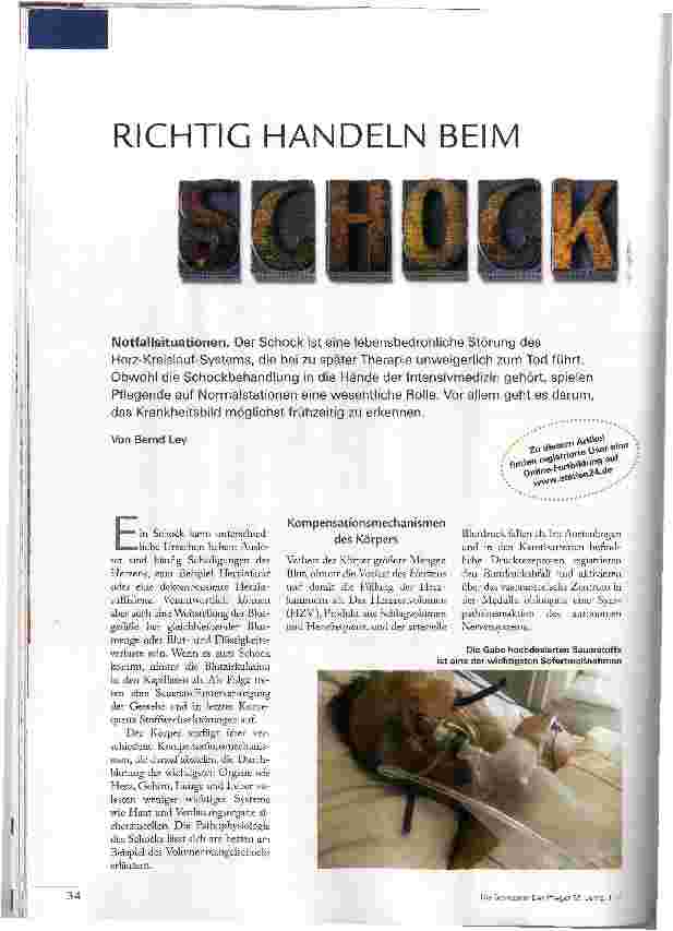 Vorschauseite 1: RICHTIG HANDELN BEIM SCHOCK
