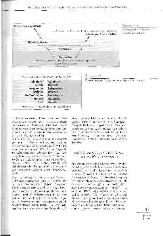 Vorschauseite 3: Neuropsychologie und Körpersemantik am Beispiel von Wachkoma-Patienten