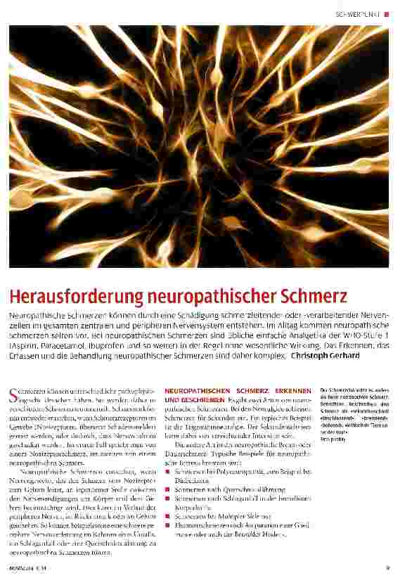 Vorschauseite 1: Herausforderung neuropathischer Schmerz