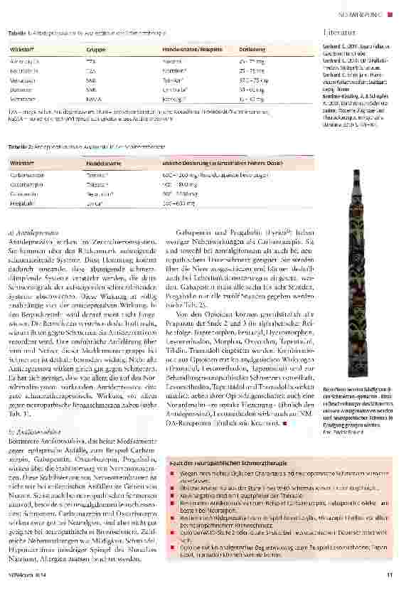 Vorschauseite 3: Herausforderung neuropathischer Schmerz