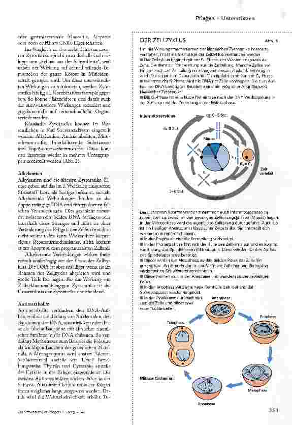 Vorschauseite 2: Wie Zytostatika wirken