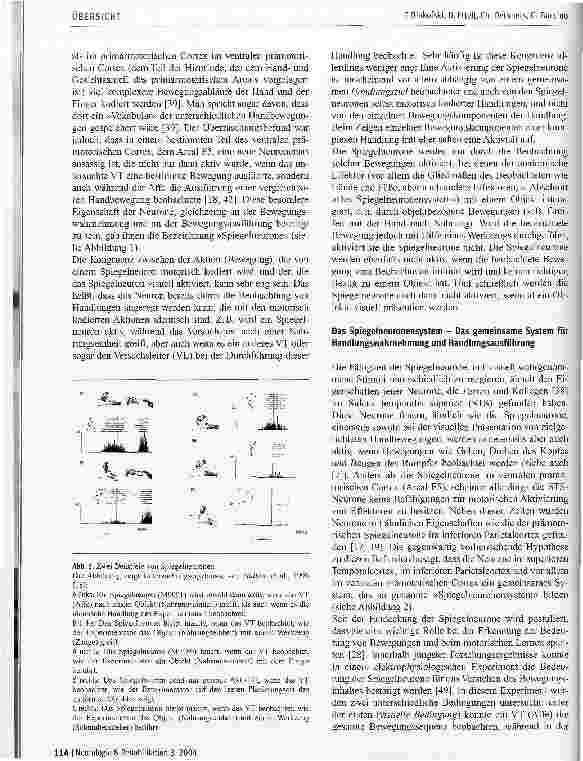 Vorschauseite 2: Das Spiegelneuronensystem und seine Rolle in der neurologischen Rehabilitation