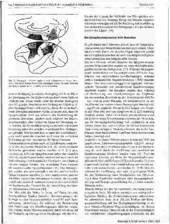 Vorschauseite 3: Das Spiegelneuronensystem und seine Rolle in der neurologischen Rehabilitation