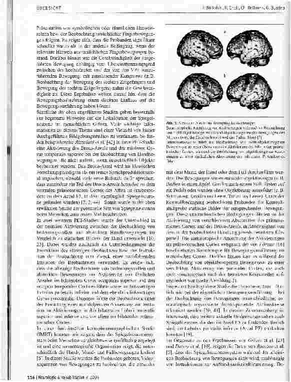 Vorschauseite 4: Das Spiegelneuronensystem und seine Rolle in der neurologischen Rehabilitation