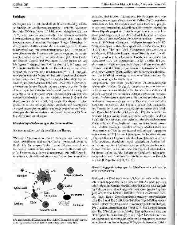 Vorschauseite 2: Altersbedingte Veränderungen des Immunsystems und mögliche Folgen für die Entstehung der Alzheimer-Krankheit