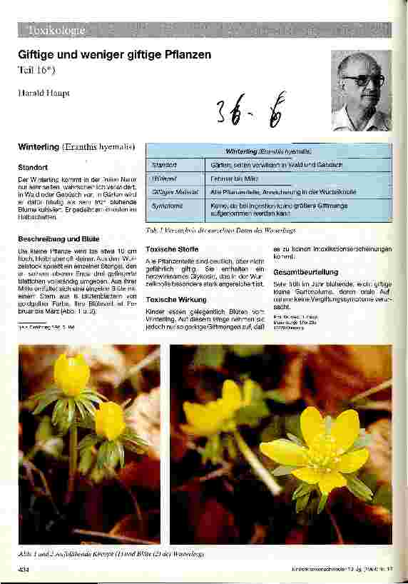 Vorschauseite 1: Giftige und weniger giftige Pflanzen Teil 16
