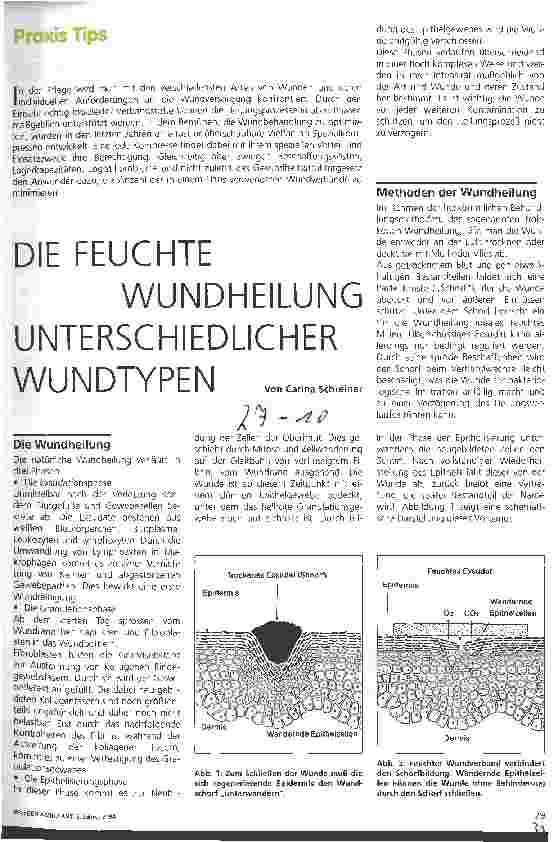 Vorschauseite 1: Die feuchte Wundheilung unterschiedlicher Wundtypen