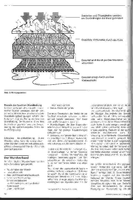 Vorschauseite 2: Die feuchte Wundheilung unterschiedlicher Wundtypen