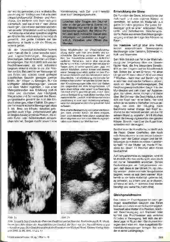 Vorschauseite 2: Das Leben des Kindes vor der Geburt