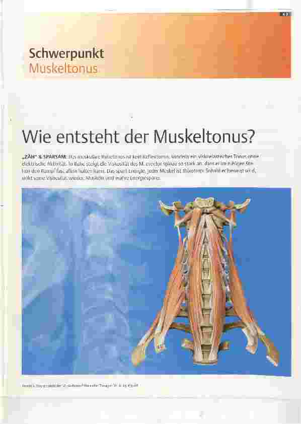 Vorschauseite 1: Wie entsteht der Muskeltonus?