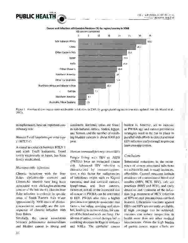 Vorschauseite 3: Infections causing cancers: world bürden and potential for prevention