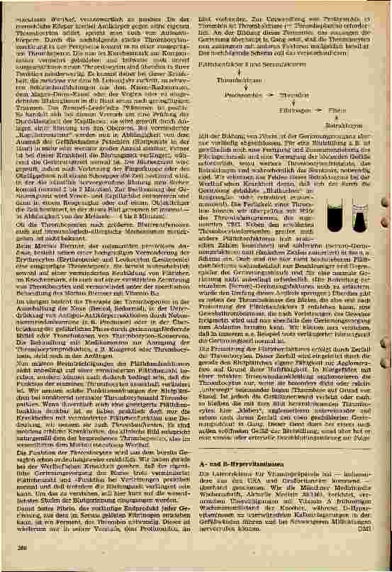 Vorschauseite 3: Die Thrombocyten und ihre Bedeutung für die Blutgerinnung beim Menschen