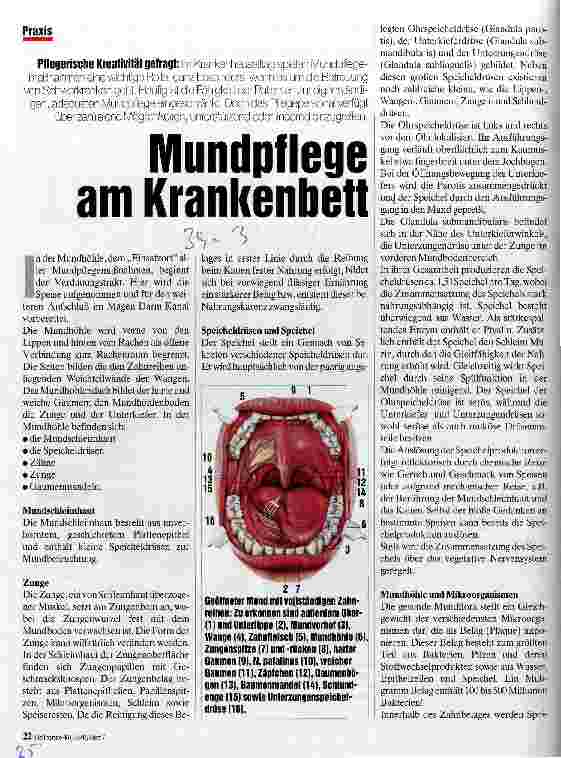 Vorschauseite 1: Mundpflege am Krankenbett Pflegerische Kreativität gefragt