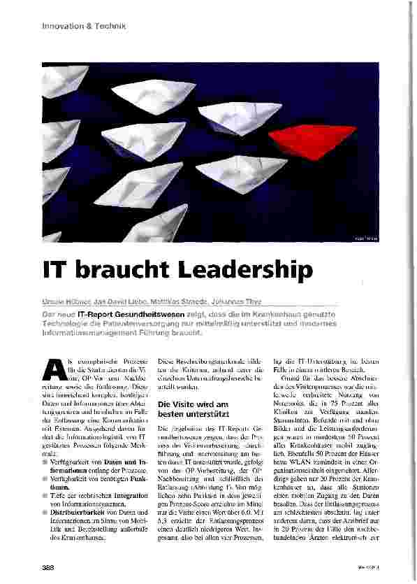 Vorschauseite 1: IT braucht Leadership
