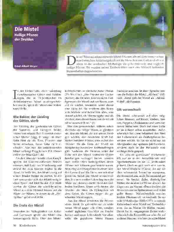 Vorschauseite 1: Die Mistel