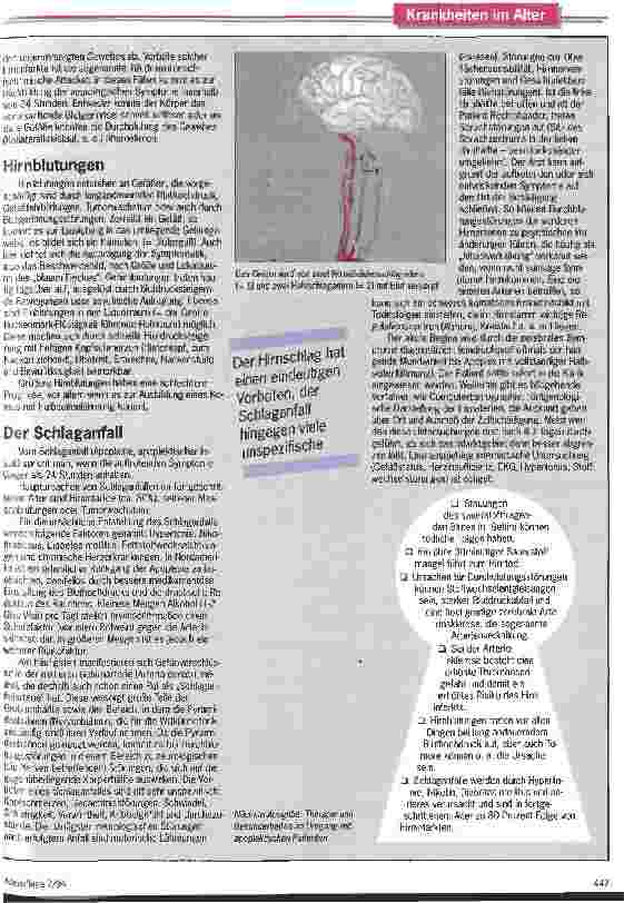 Vorschauseite 2: Blutstau im Hirn - da geht nichts mehr! Gefäßerkrankungen des Gehirns können tödliche Folgen haben