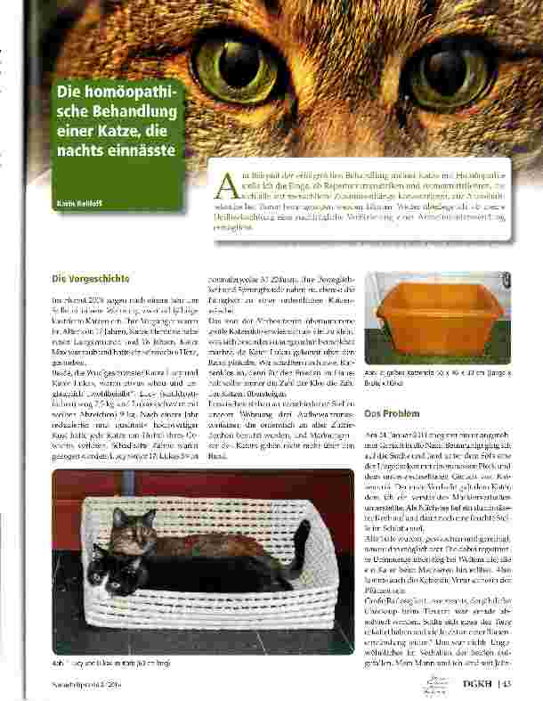 Vorschauseite 1: Die homöopathische Behandlung einer Katze, di nachts einnässte