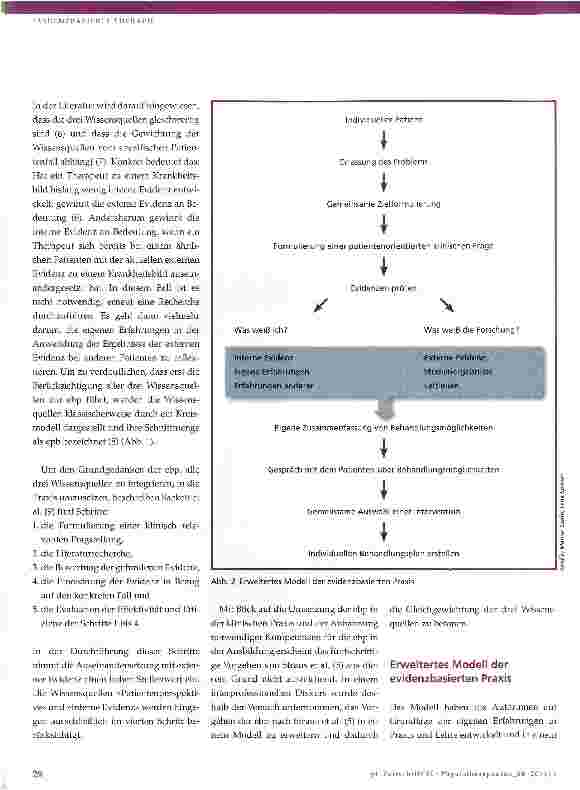 Vorschauseite 3: Forschungsergebnisse, Patientenpräferenz und Therapeutenerfahrung integrieren