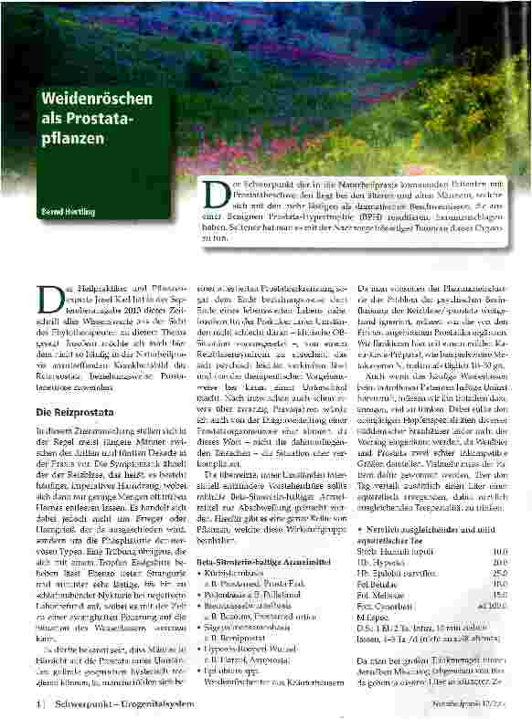 Vorschauseite 1: Weidenröschen als Prostatapflanzen