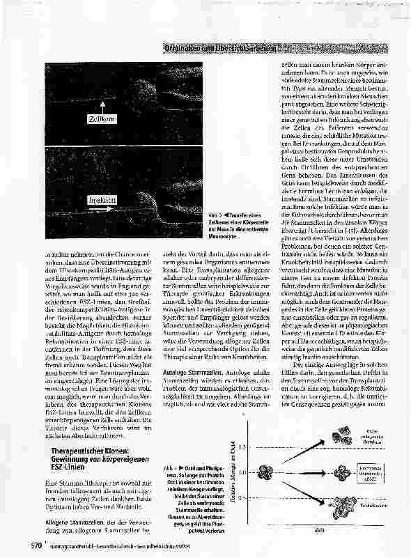 Vorschauseite 6: Das Potenzial von Stammzellen - Eine Bestandsaufnahme