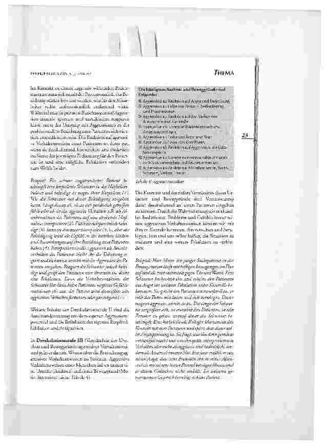Vorschauseite 5: Professionelles Deeskalationsmanagement(ProDeMa)