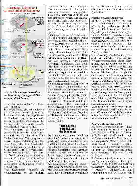 Vorschauseite 2: Der Schmerz Vom Signal zur Qual