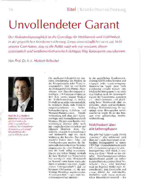 Vorschauseite 1: Unvollendeter Garant