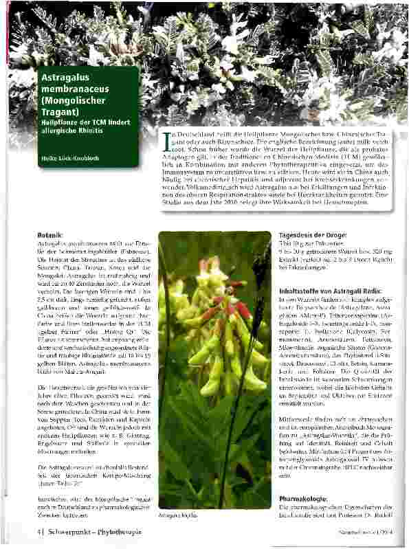 Vorschauseite 1: Astragalus membranaceus (Mongolischer Tragant)
