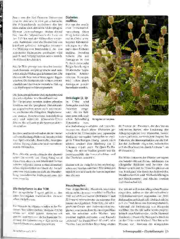 Vorschauseite 2: Astragalus membranaceus (Mongolischer Tragant)
