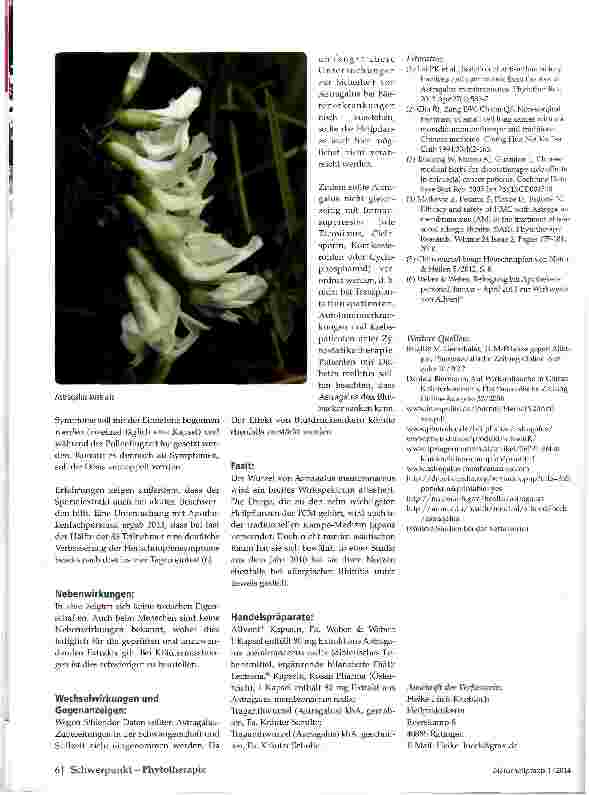Vorschauseite 3: Astragalus membranaceus (Mongolischer Tragant)